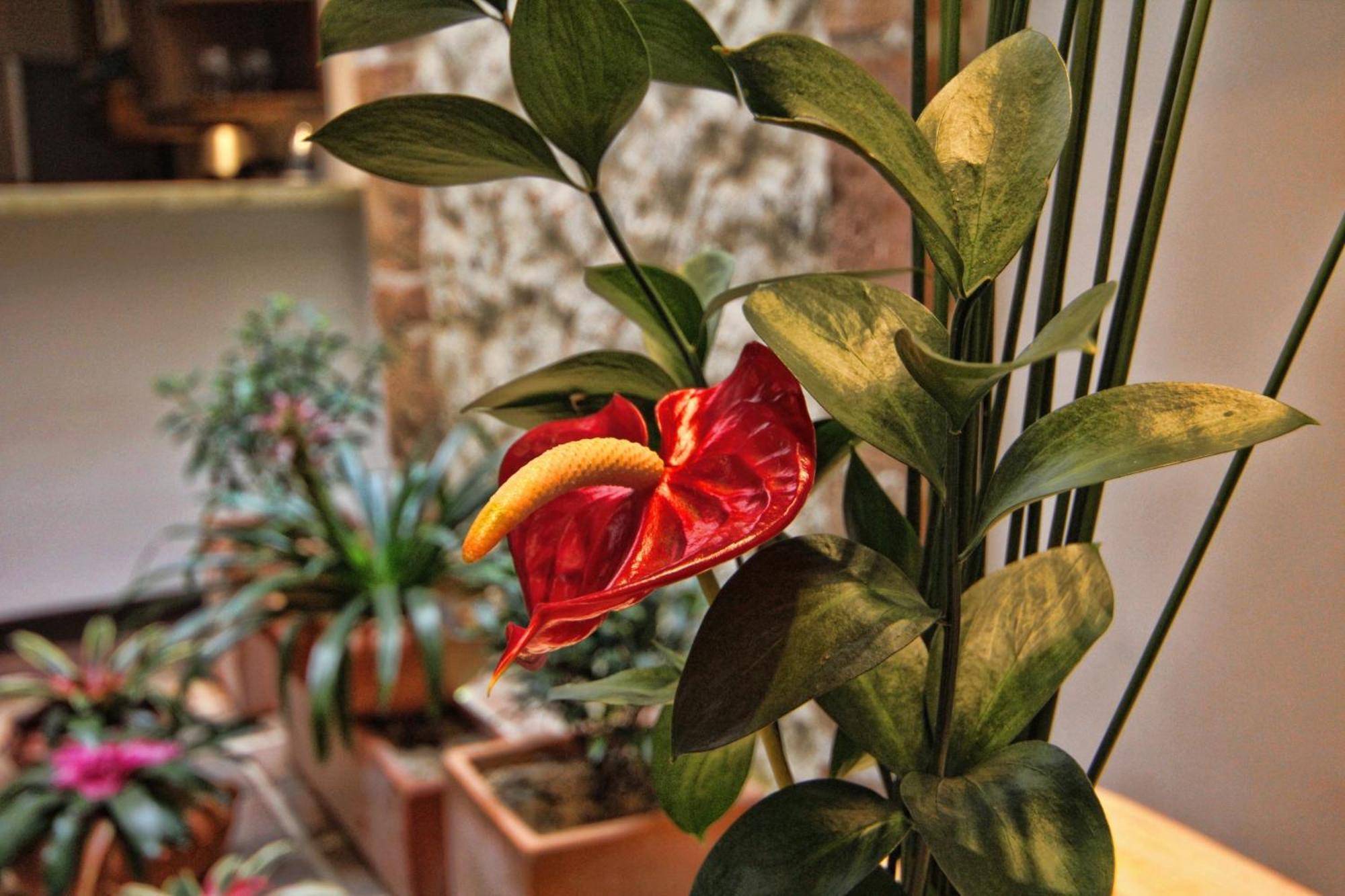 Aparthotel Casa Del Reloj Medellín Pokoj fotografie